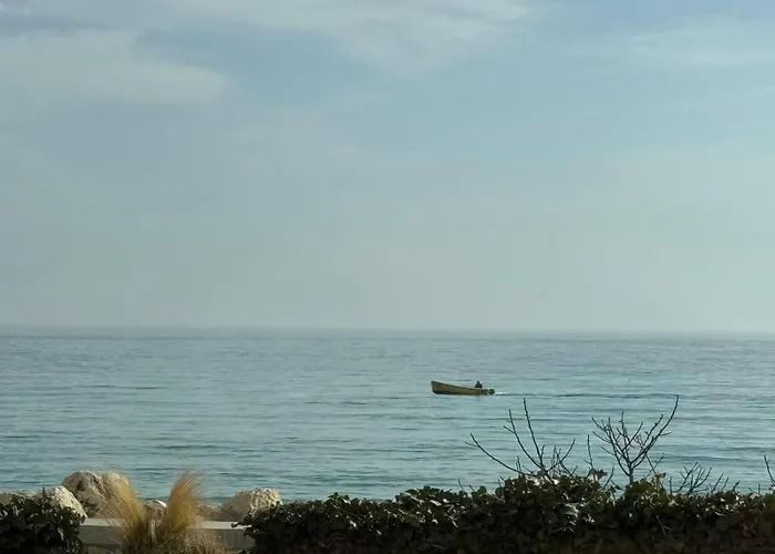 за гости октопод к-кс карпе дием Apartment Balchik