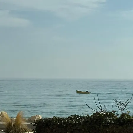 за гости октопод к-кс карпе дием Apartment Balchik